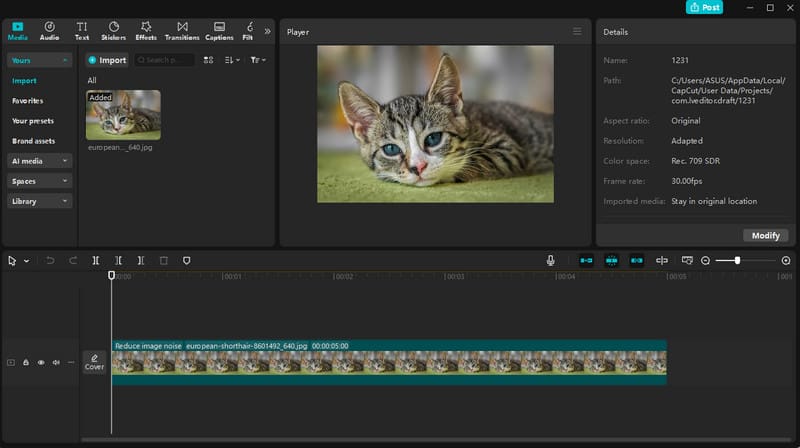 Capcut Video Editor-bild