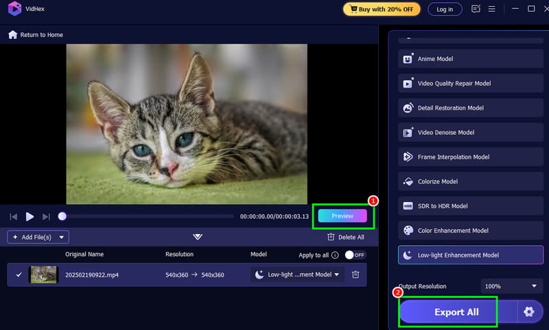 Preview Export All Vidmore