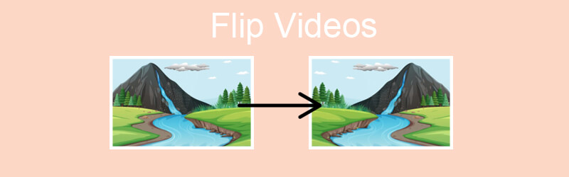 Flip Videos