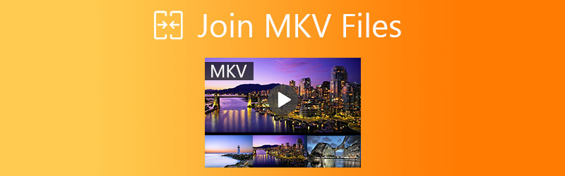 加入MKV