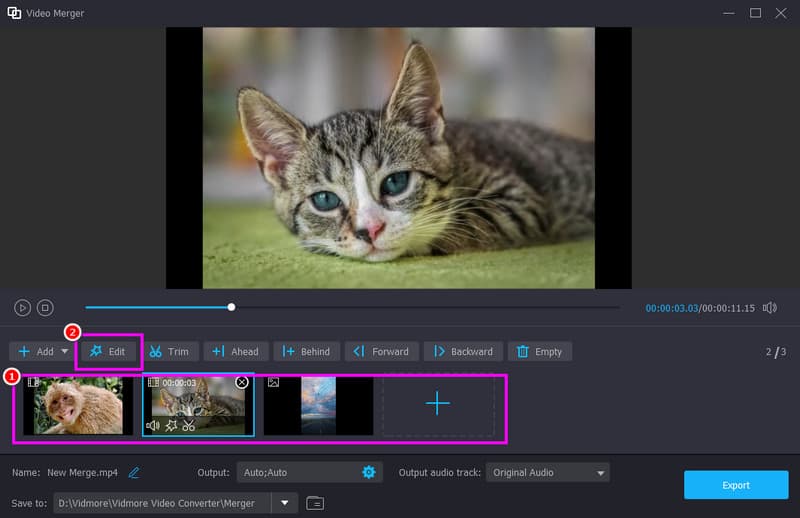 Kombinera videor Vidmore