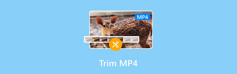 Trimma Mp4