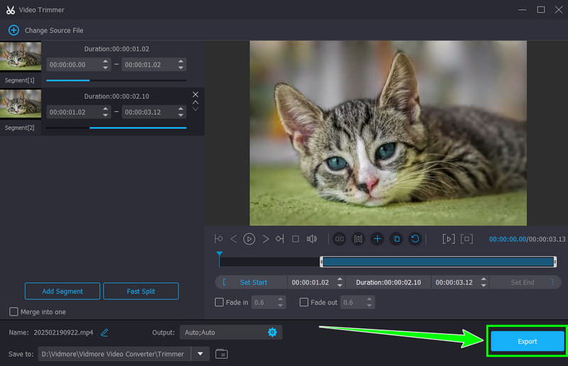 Exportera trimmad video Vidmore