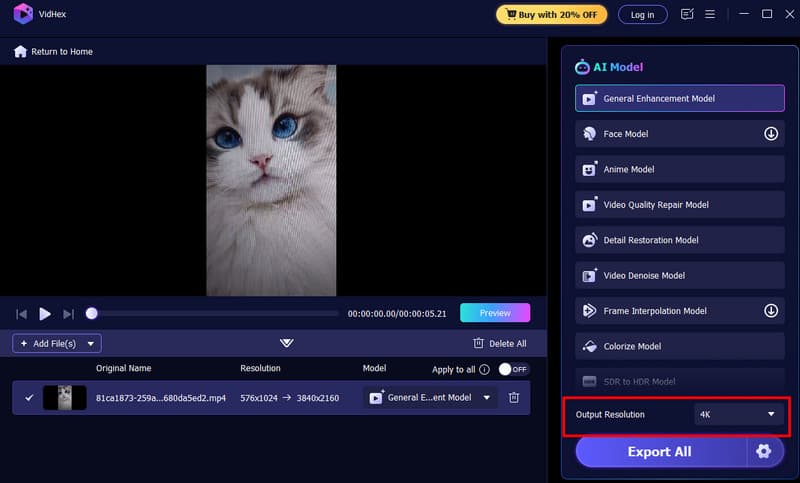 Opzione di risoluzione di output Vidmore