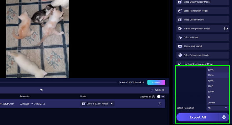 Sekcja rozdzielczości wyjściowej Vidmore