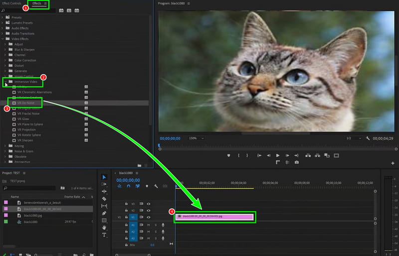 Denoise Video Using Premiere Pro