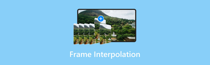 Frame-interpolatie