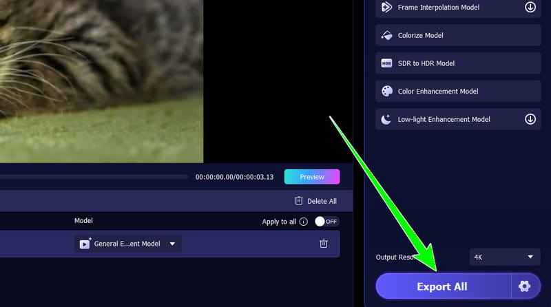 Konvertera alla knappar - vidmore