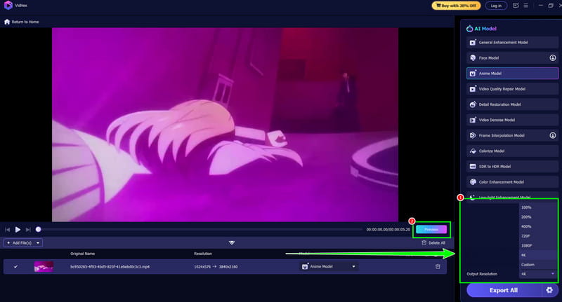 Output Resolution 4K Vidmore