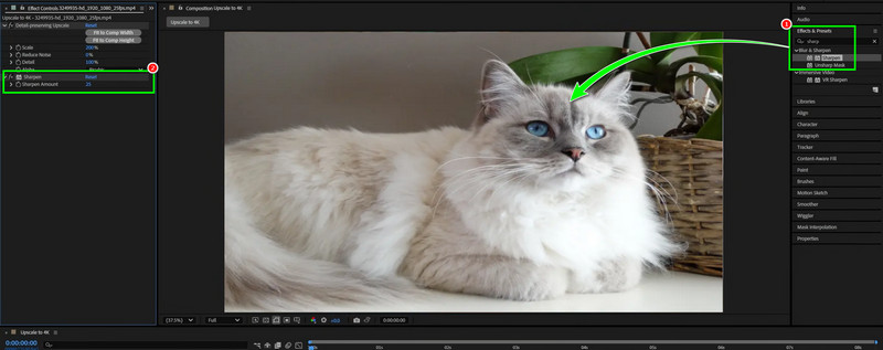 Skærpningsværktøj After Effects