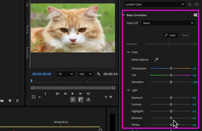 Farveforbedring i opskaleret video i Premiere Pro