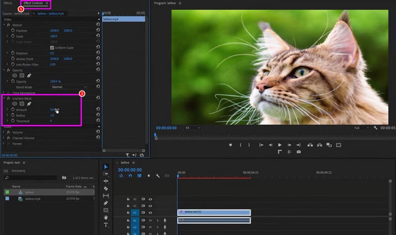 Opskaler video Premiere Pro detaljeforbedring