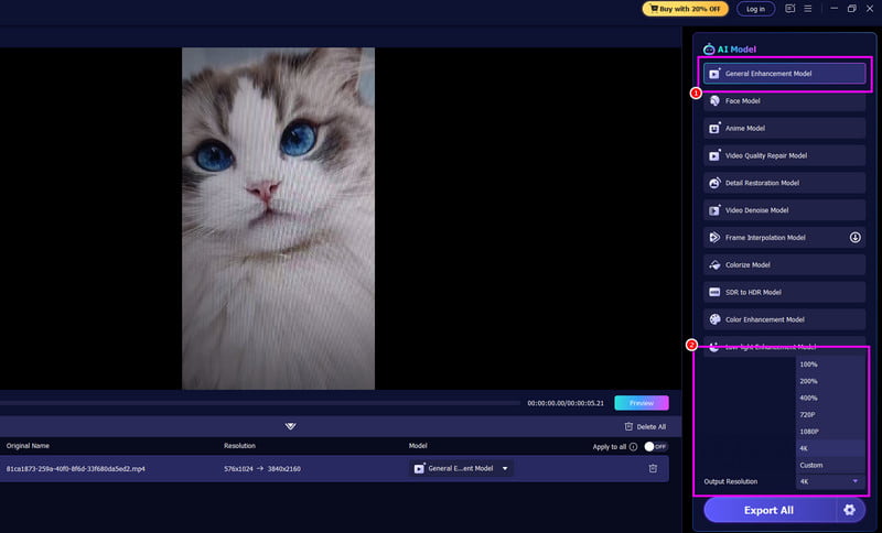 Genel Geliştirme Çıkış Çözünürlüğü 4k Vidmore
