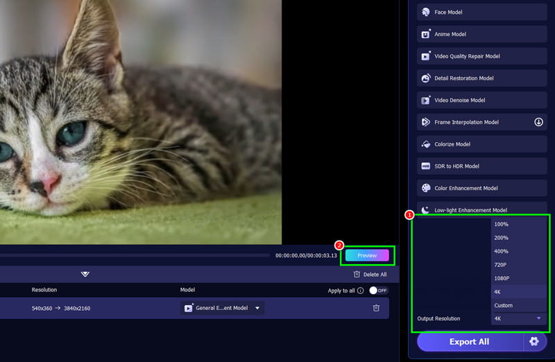Rozdzielczość wyjściowa 4k Vidmore