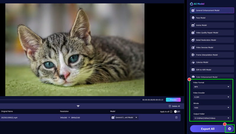 Επιλογή ρυθμίσεων Vidmore Video Enhancer