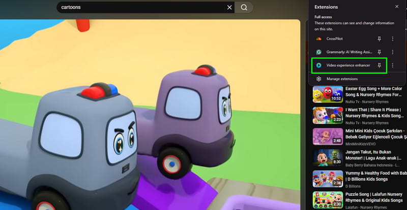 Video Experience Enhancer Youtube Extension