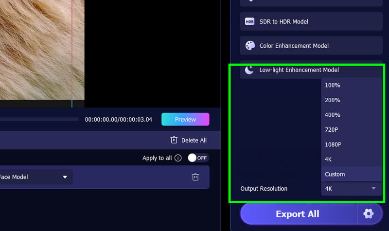 Choose Output Resolution Vidmore