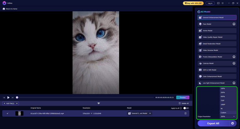 دقة الإخراج اختر الجودة Vidmore