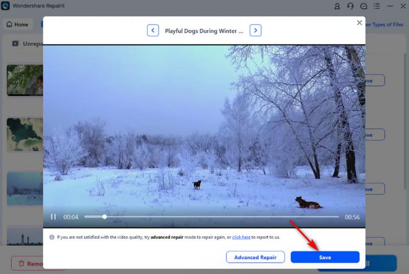 Wondershare Preview