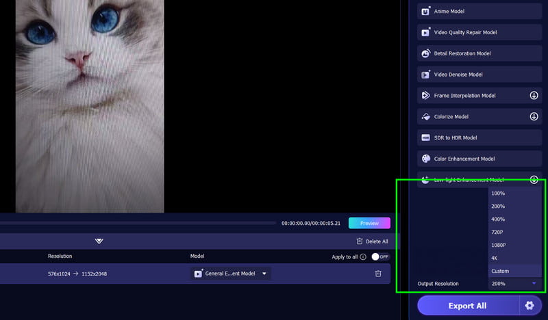 Độ phân giải đầu ra của Vidmore
