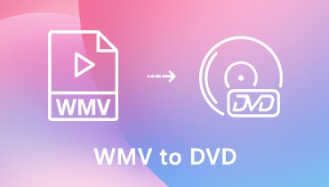 WMV naar dvd