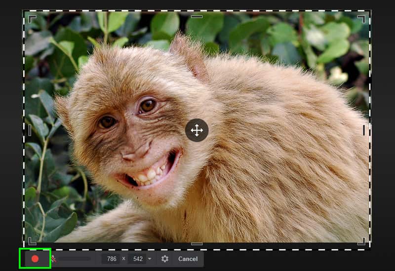 Бесплатная запись экрана с камеры