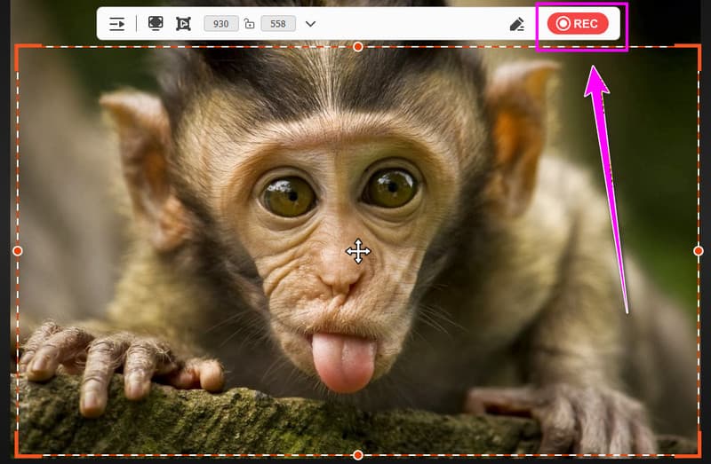 Запись экрана Видмор
