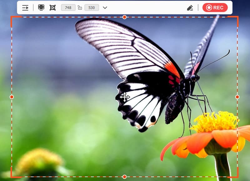 Альтернатива проводнику для записи экрана Vidmore