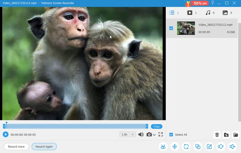Nejlepší rekordér obrazovky Vidmore