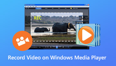 Optag video på Windows Media Player