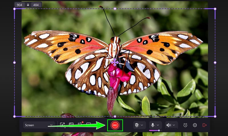 Start Recording Democreator