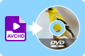 AVCHD MTS ל-DVD