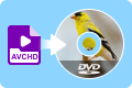 AVCHD MTS na DVD