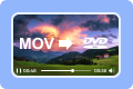 将 QuickTime MOV 刻录到 DVD