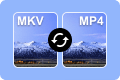 MKV to MP4 Converter Online