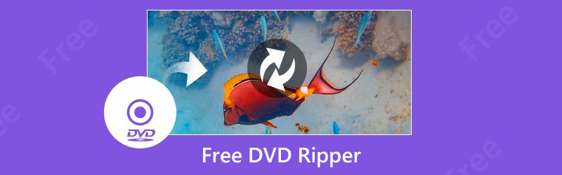 Бесплатные DVD-рипперы 