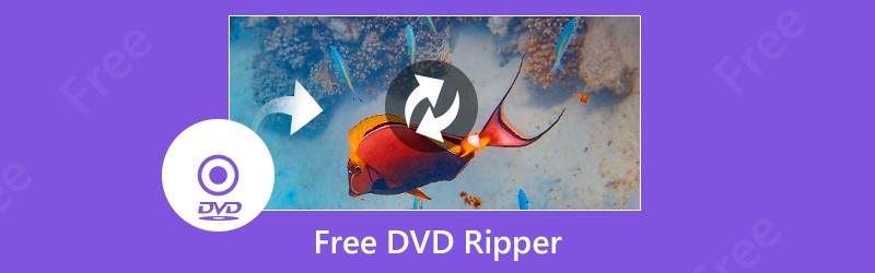 DVD Rippers miễn phí 