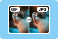 GIF को JPG में बदलें