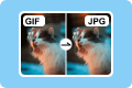 המרת GIF ל- JPG