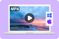 Playere MP4