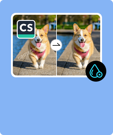 Remove Camscanner Watermark