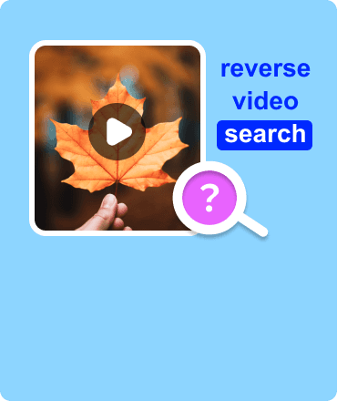 Reverse Video Search