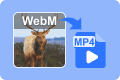 WebM în MP4