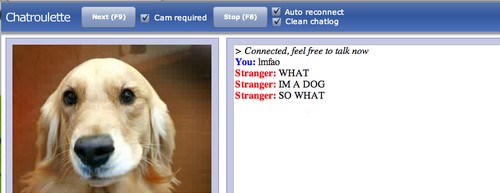 Chatroulette Interface
