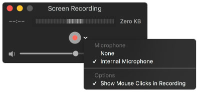 Microfon intern