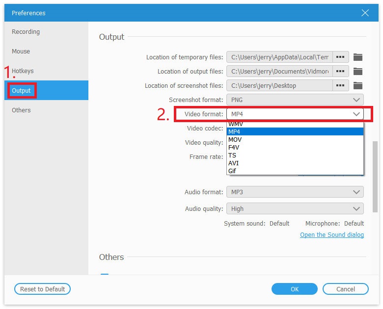 Output Video Format