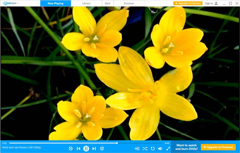 Các tệp RMVB của Realplayer Play