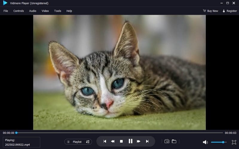 Bekijk video Vidmore