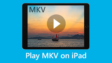 Les 5 meilleurs outils de lire des fichiers vidéo MKV sur iPad