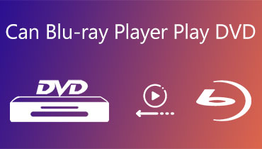 Vidmore DVD Creator 1.0.56 download the new version for ios